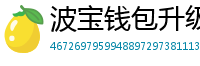 波宝钱包升级版本下载